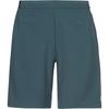 Arena ARENA Funktionsshorts Herren - darkest spruce