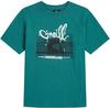 O'NEILL SLUB T-Shirt Jungen - botanical heat