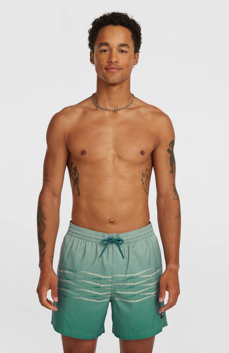 O'NEILL O'NEILL FIRST 15 Badehose Herren - green heritage oneill flip flop - 0 | SportScheck