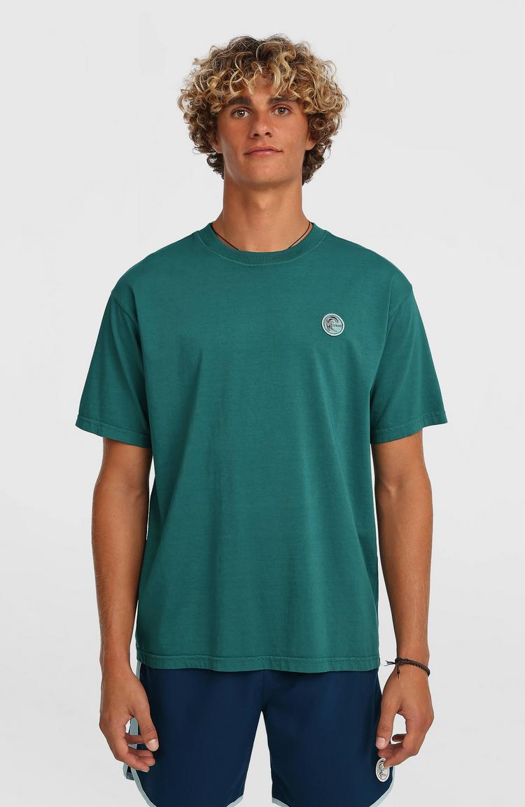 O'NEILL O'NEILL ORIGINALS VINTAGE GRAPHIC T-Shirt Herren - botanical heat - 0 | SportScheck