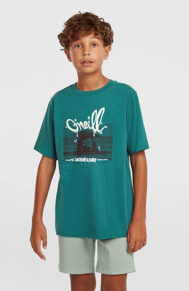 O'NEILL O'NEILL SLUB T-Shirt Jungen - botanical heat - 0 | SportScheck