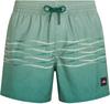 O'NEILL FIRST 15 Badehose Herren - green heritage oneill flip flop