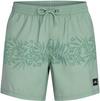 O'NEILL UNI FLOWER 16" Badehose Herren - green tropical stripe