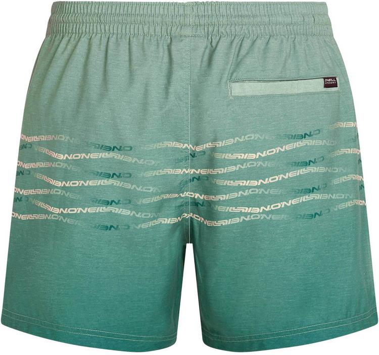 O'NEILL O'NEILL FIRST 15 Badehose Herren - green heritage oneill flip flop - 0 | SportScheck