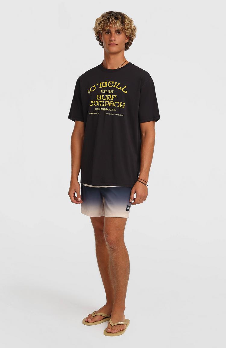 O'NEILL O'NEILL GRADIENT 15 Badehose Herren - black out gradient stripe - 3 | SportScheck