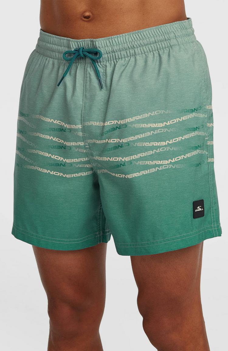 O'NEILL O'NEILL FIRST 15 Badehose Herren - green heritage oneill flip flop - 2 | SportScheck