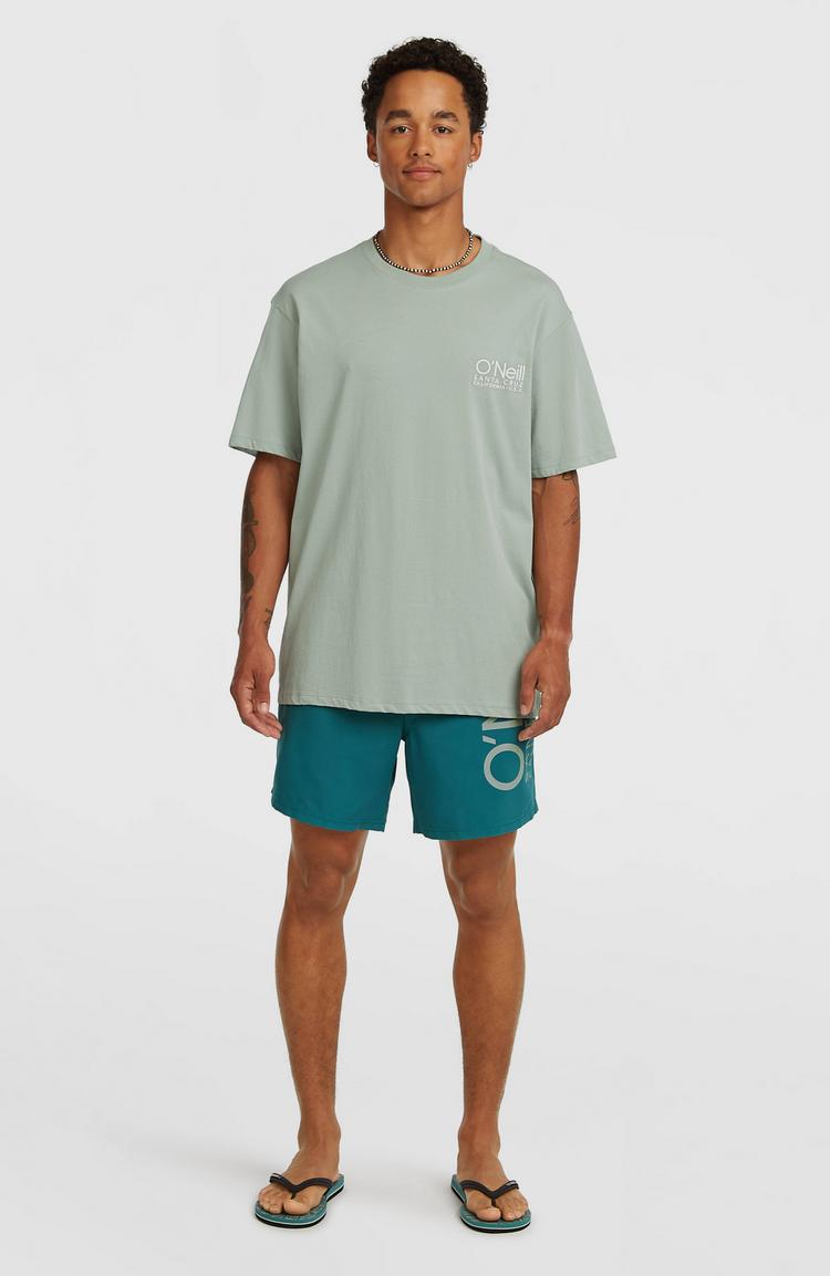 O'NEILL O'NEILL CALI 16 Badehose Herren - botanical heat - 3 | SportScheck