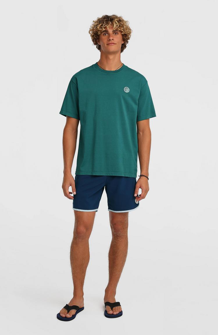 O'NEILL O'NEILL ORIGINALS VINTAGE GRAPHIC T-Shirt Herren - botanical heat - 3 | SportScheck