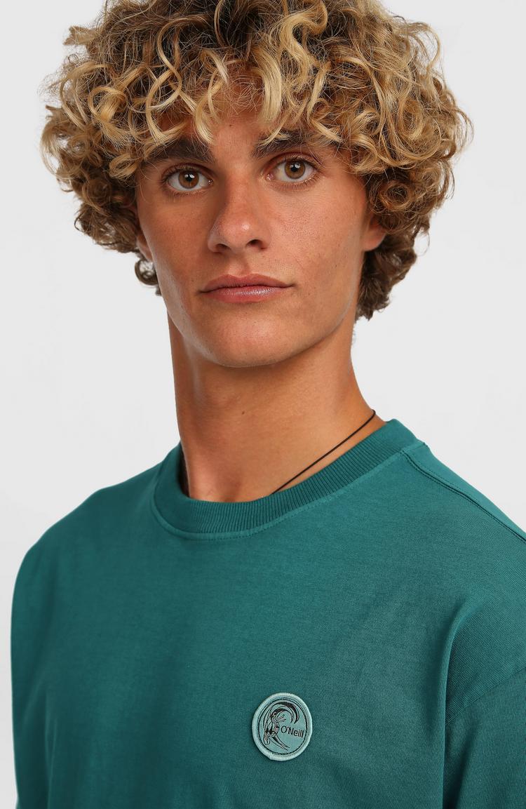 O'NEILL O'NEILL ORIGINALS VINTAGE GRAPHIC T-Shirt Herren - botanical heat - 2 | SportScheck