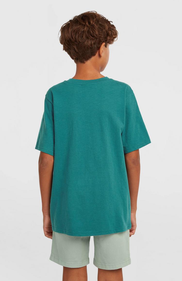 O'NEILL O'NEILL SLUB T-Shirt Jungen - botanical heat - 1 | SportScheck