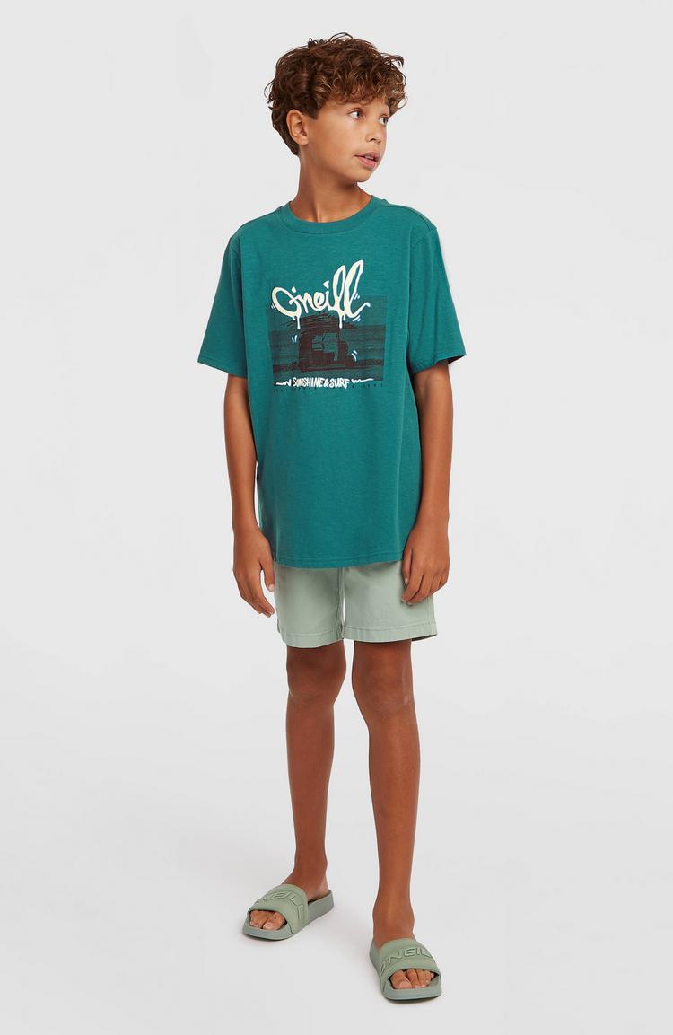 O'NEILL O'NEILL SLUB T-Shirt Jungen - botanical heat - 3 | SportScheck