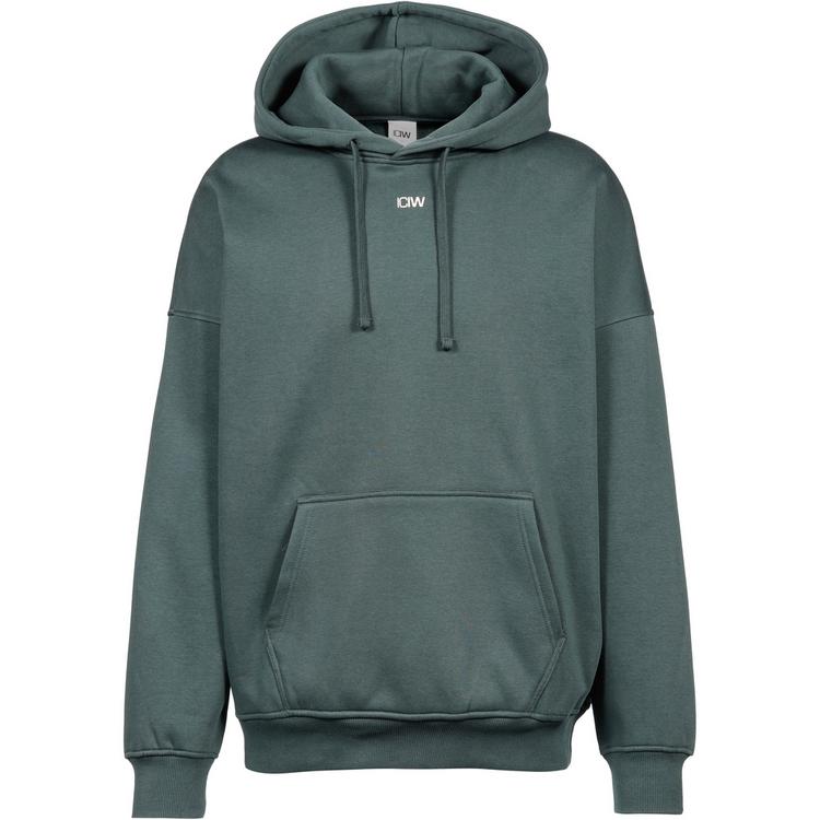 ICANIWILL ICANIWILL Everyday Hoodie Herren - wet green - 0 | SportScheck