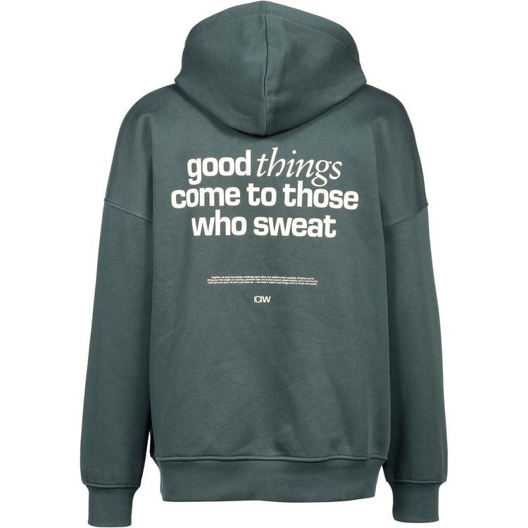 ICANIWILL ICANIWILL Everyday Hoodie Herren - wet green - 0 | SportScheck