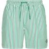 Calvin Klein Graphip Monogram Badehose Herren - penny stripe-mardi gras green