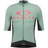 Oakley ICON TRAINING Trikot Herren - faded green