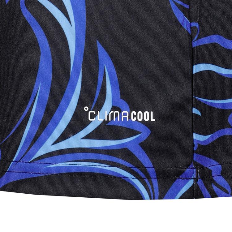 adidas adidas AFA ARGENTINIEN AWAY D Teamtrikot Herren - black-lucblu-blubrs - 0 | SportScheck