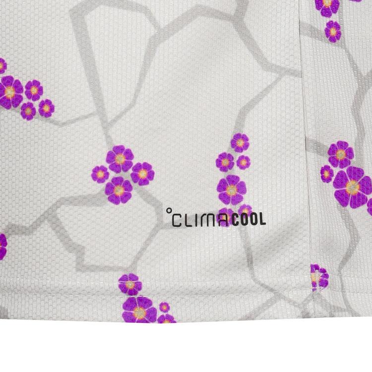 adidas adidas ANFP CHILE AWAY Teamtrikot Herren - cbrown - 0 | SportScheck