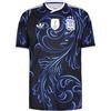 adidas AFA ARGENTINIEN AWAY D Teamtrikot Herren - black-lucblu-blubrs