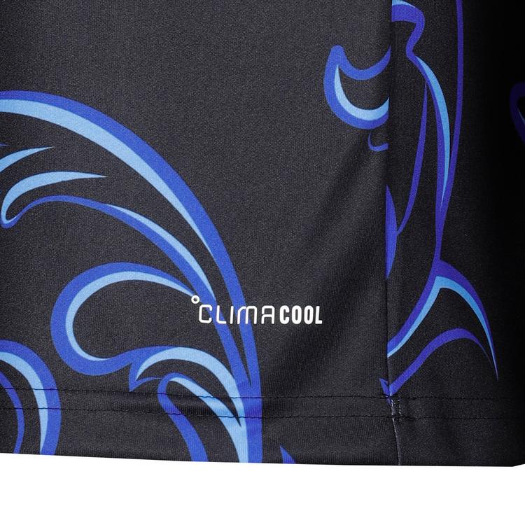 adidas adidas AFA ARGENTINIEN AWAY D Teamtrikot Kinder - black-lucblu-blubrs - 0 | SportScheck