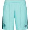adidas DFB DEUTSCHLAND AWAY Fu&szlig;ballshorts Herren - flaaqu