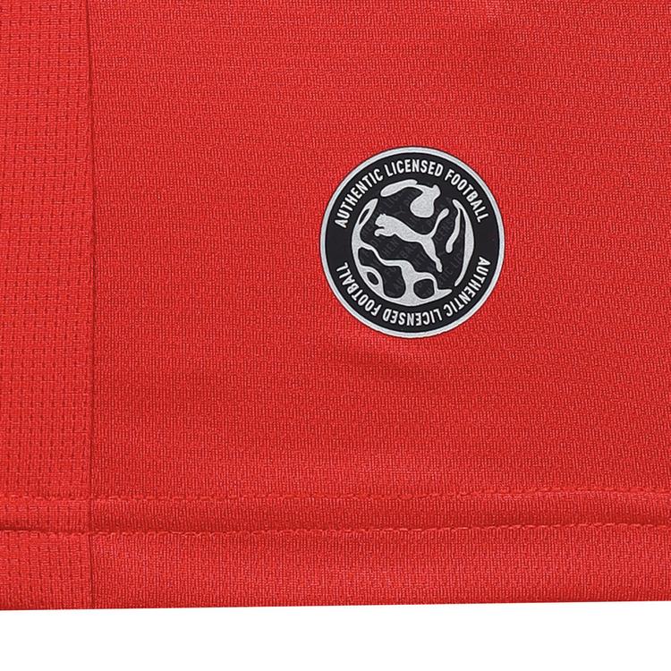 PUMA PUMA EFA Home Jersey Replica Teamtrikot Herren - puma red-intense red - 1 | SportScheck