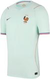 Nike FRANKREICH AWAY Teamtrikot Herren - igloo-monarch-monarch