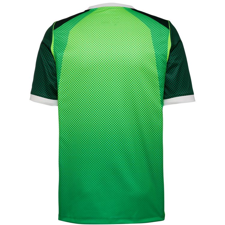 Nike Nike NIGERIA HOME Teamtrikot Herren - pine green-electric green-white - 0 | SportScheck