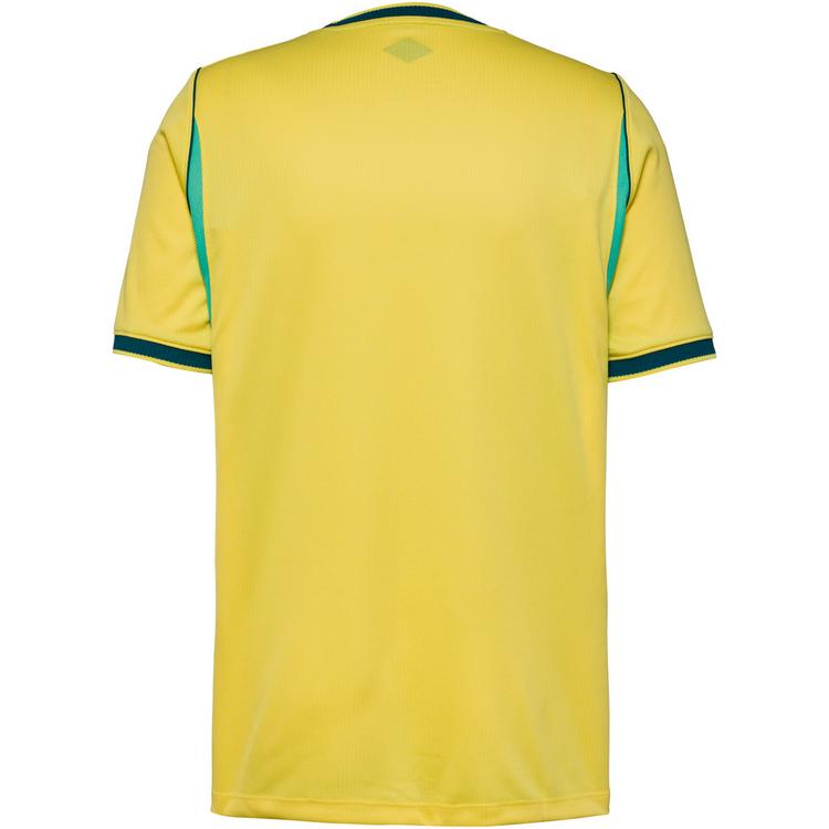 Nike Nike BRASILIEN HOME Teamtrikot Herren - canary-light menta-geode teal - 0 | SportScheck