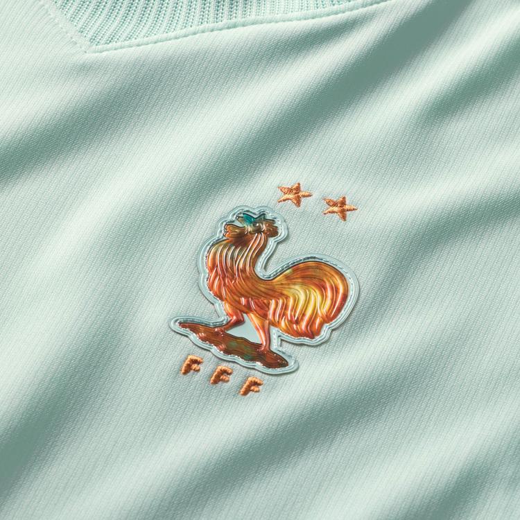 Nike Nike FRANKREICH AWAY Teamtrikot Kinder - igloo-monarch-monarch - 0 | SportScheck