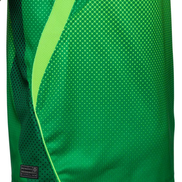 Nike Nike NIGERIA HOME Teamtrikot Herren - pine green-electric green-white - 0 | SportScheck