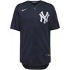 Nike MLB New York Yankees Alternate 2 Teamtrikot Herren - pitch blue