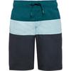 FIREFLY NATAL B Badehose Jungen - green dark-mint-blac