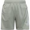 Nike MULTI Sweatshorts Kinder - spruce fog-white