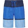 FIREFLY LARIO M MELANGE STRIPE Badehose Jungen - blue royal
