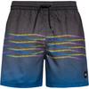 O'NEILL FIRST 15 Badehose Herren - dark blue heritage oneill flip flop