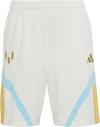 adidas MESSI Fu&szlig;ballshorts Kinder - owhite-iceblu