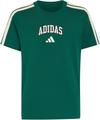 adidas T-Shirt Jungen - collegiate green
