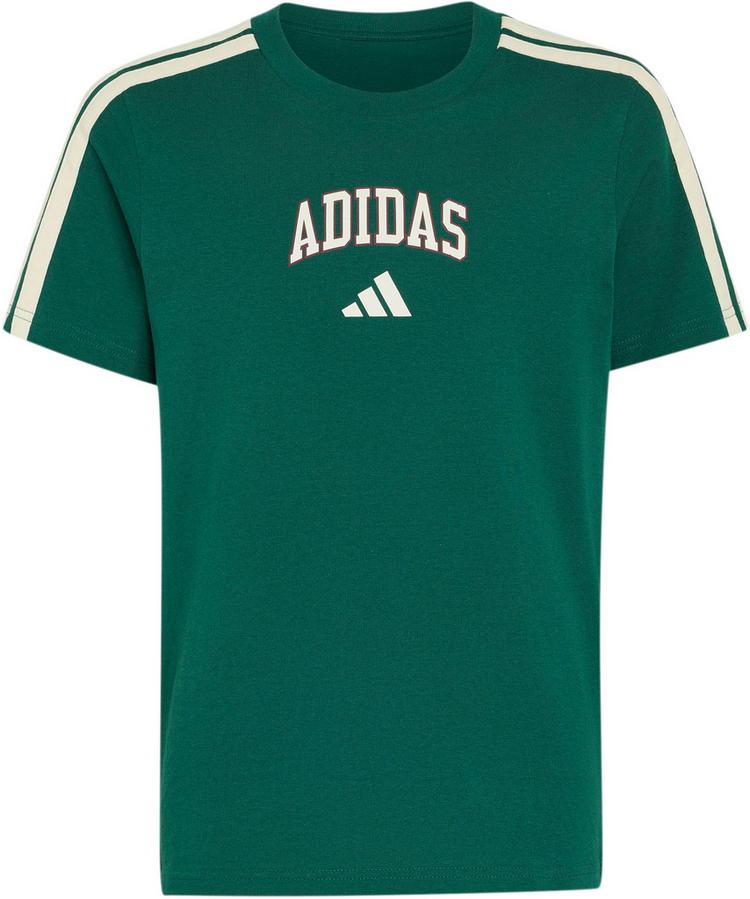 adidas adidas T-Shirt Jungen - collegiate green - 0 | SportScheck