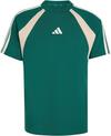 adidas T-Shirt Herren - collegiate green-crystal linen-ivory