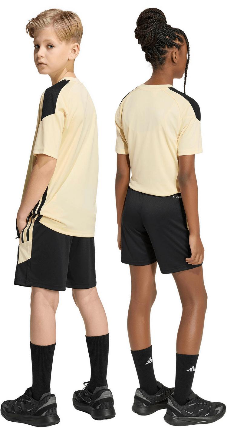 adidas adidas TIRO Fu&szlig;ballshorts Kinder - black-warvan-warvan - 1 | SportScheck