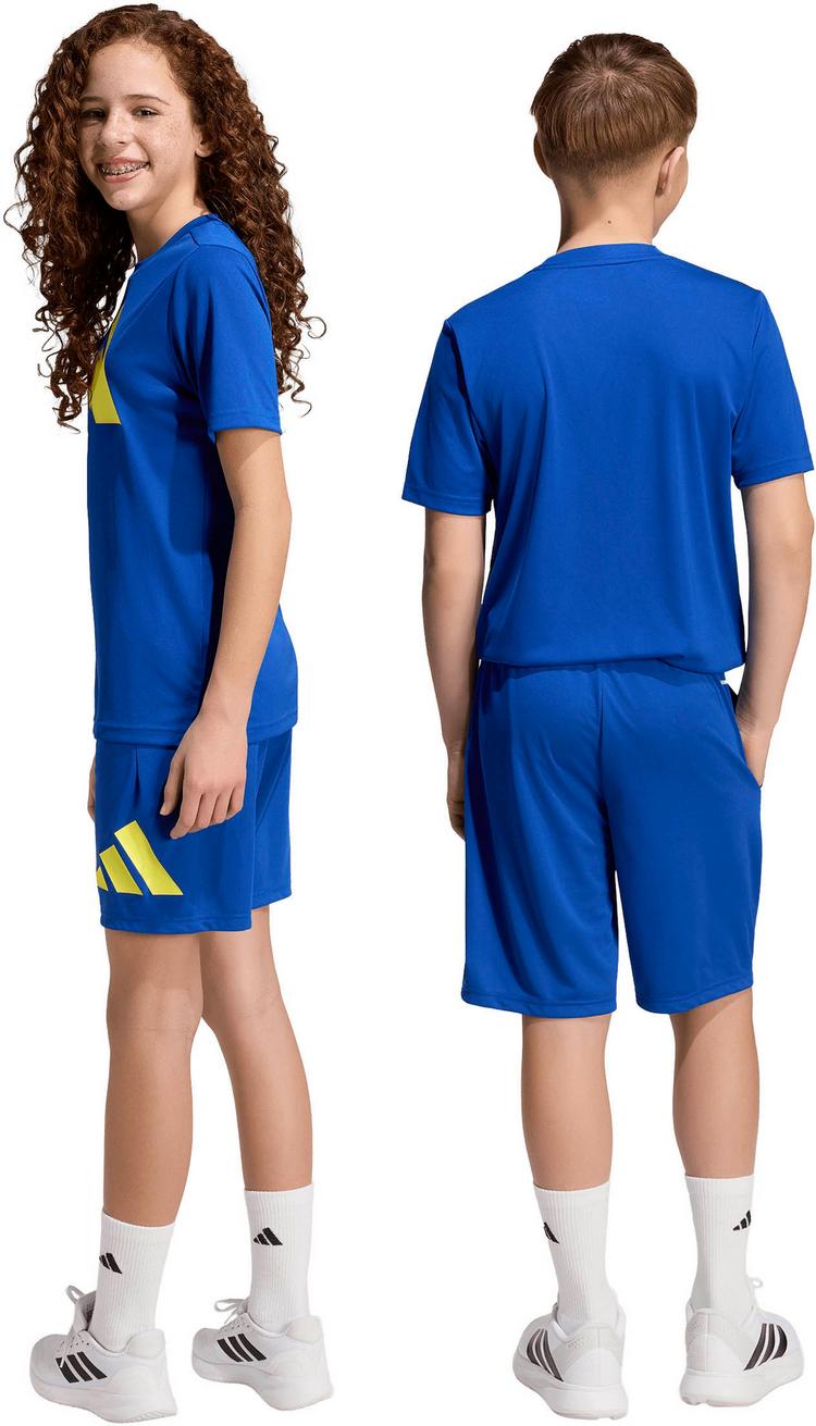 adidas adidas TR-ES Shorts Kinder - royblu-purlem - 1 | SportScheck