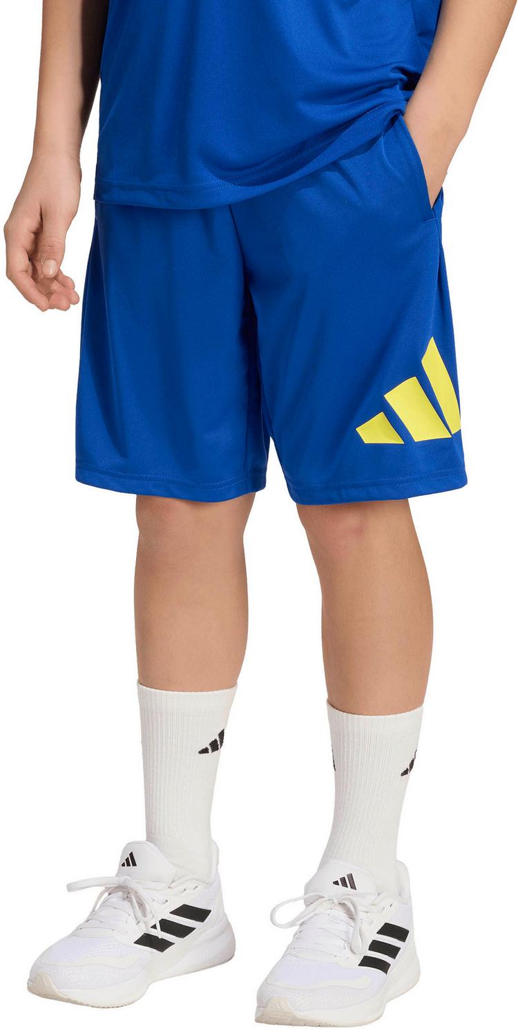 adidas adidas TR-ES Shorts Kinder - royblu-purlem - 2 | SportScheck
