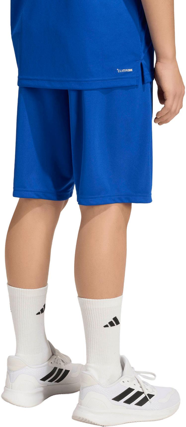 adidas adidas TR-ES Shorts Kinder - royblu-purlem - 3 | SportScheck
