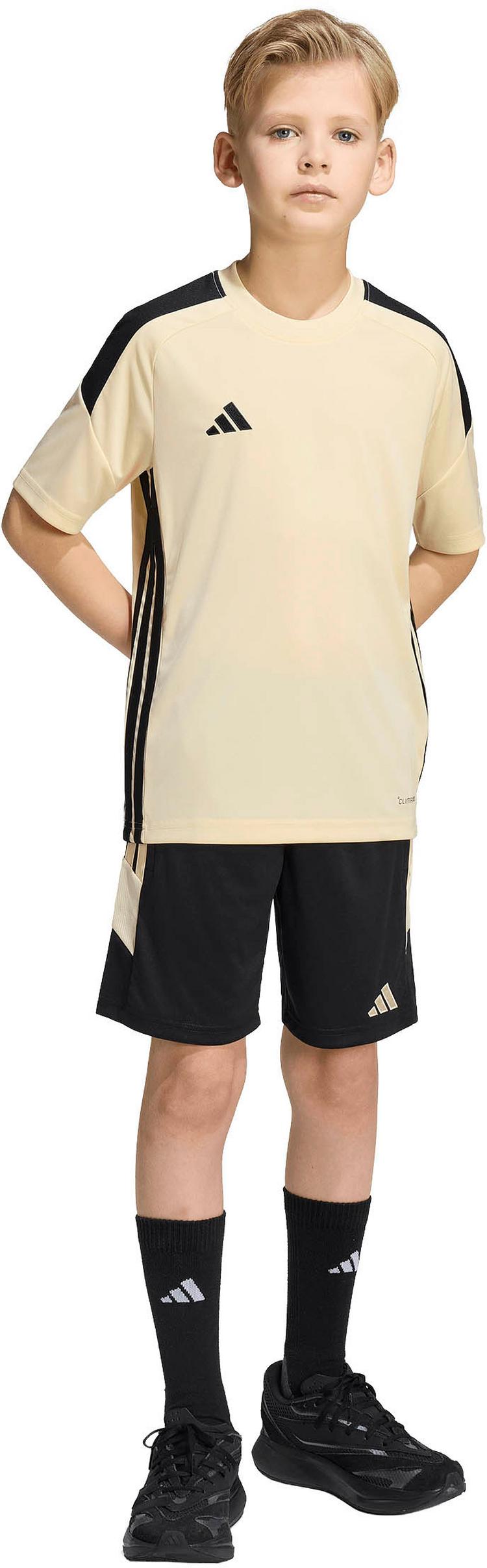 adidas adidas TIRO Fu&szlig;ballshorts Kinder - black-warvan-warvan - 4 | SportScheck