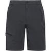 ICEPEAK BERWYN Funktionsshorts Herren - anthrazit