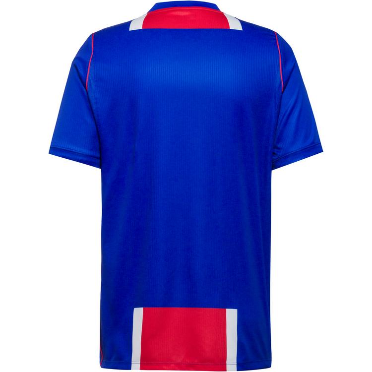 Nike Nike PARIS SAINT GERMAIN STAD HOME Teamtrikot Herren - old royal-white-university red-whit - 0 | SportScheck