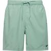 Nike DRI-FIT Funktionsshorts Herren - steam-black