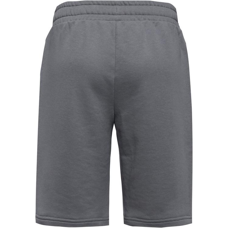 PUMA PUMA Borussia M&ouml;nchengladbach King Sweatshorts Herren - flat medium gray-puma green - 0 | SportScheck