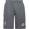 PUMA Borussia M&ouml;nchengladbach King Sweatshorts Herren - flat medium gray-puma green