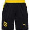 PUMA Borussia Dortmund Fu&szlig;ballshorts Herren - puma black-faster yellow
